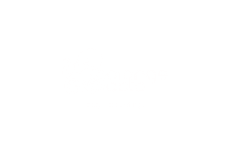 Orange Octo — easy accounting